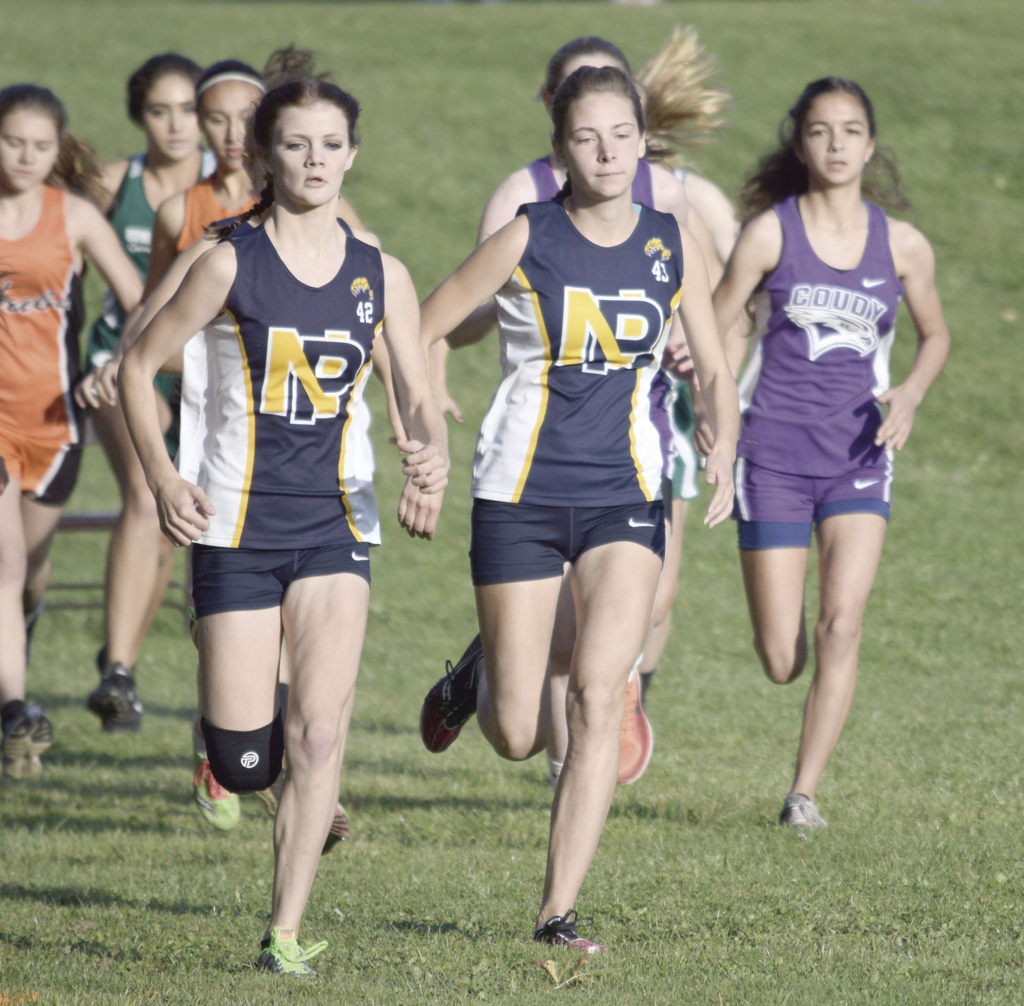 Smethport sweeps team titles, NoPo and Port runners eyeing States